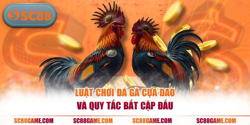 Luật chơi đá gà cựa dao và quy tắc bắt cặp đấu